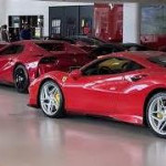 Profile picture of Mark Paull