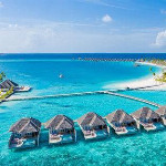 Profile picture of Harsh Traveller